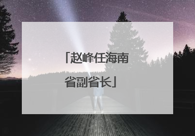 赵峰任海南省副省长