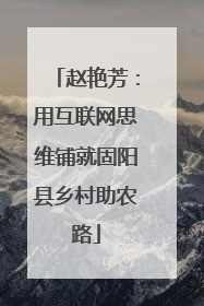 赵艳芳：用互联网思维铺就固阳县乡村助农路