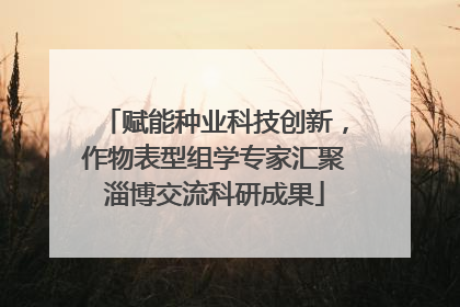 赋能种业科技创新，作物表型组学专家汇聚淄博交流科研成果
