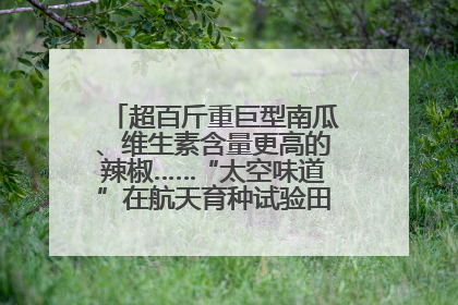 超百斤重巨型南瓜、维生素含量更高的辣椒……“太空味道”在航天育种试验田里拔节生长