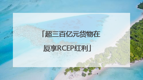 超三百亿元货物在厦享RCEP红利