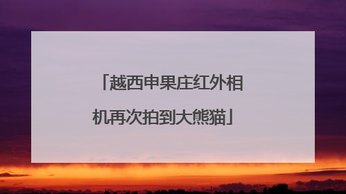 越西申果庄红外相机再次拍到大熊猫