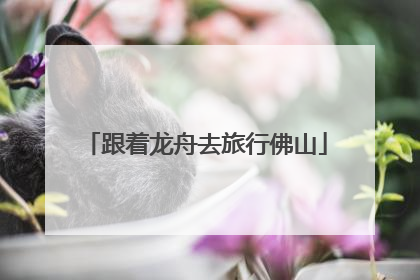 跟着龙舟去旅行佛山