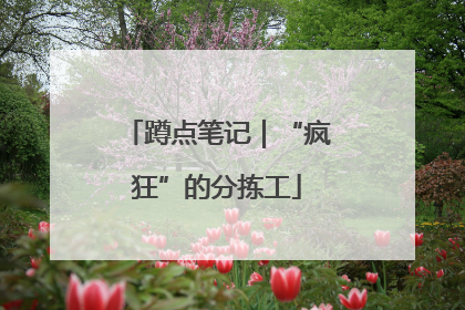 蹲点笔记｜“疯狂”的分拣工