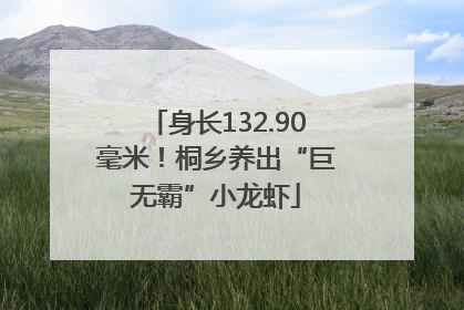 身长132.90毫米！桐乡养出“巨无霸”小龙虾