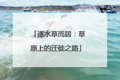 逐水草而居：草原上的迁徙之路