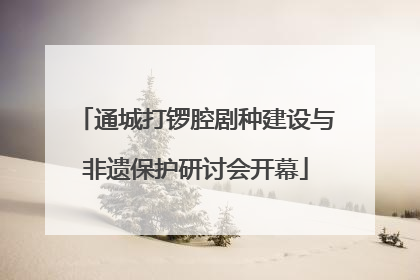 通城打锣腔剧种建设与非遗保护研讨会开幕