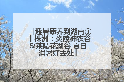 避暑康养到湖南③丨株洲：炎陵神农谷&茶陵花湖谷 夏日消暑好去处