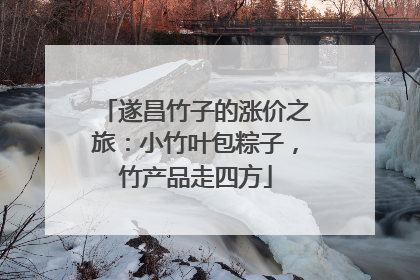 遂昌竹子的涨价之旅：小竹叶包粽子，竹产品走四方