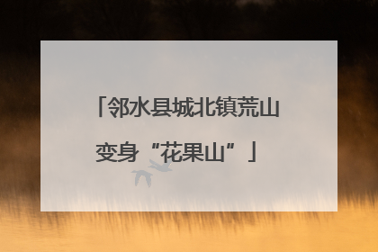邻水县城北镇荒山变身“花果山”