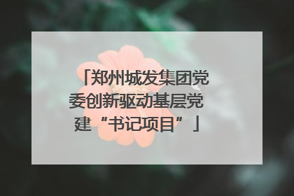 郑州城发集团党委创新驱动基层党建“书记项目”