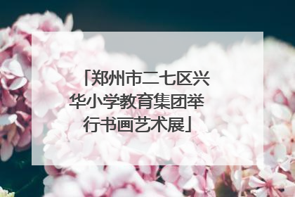 郑州市二七区兴华小学教育集团举行书画艺术展
