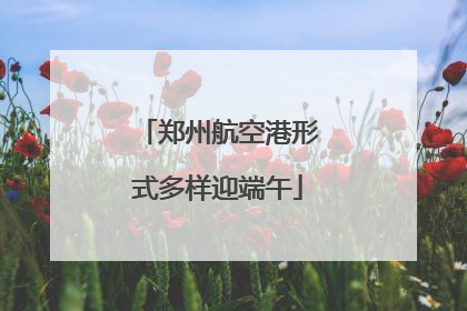 郑州航空港形式多样迎端午