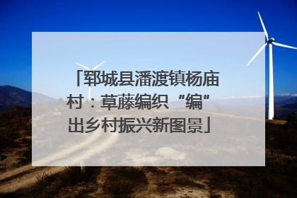郓城县潘渡镇杨庙村：草藤编织“编”出乡村振兴新图景