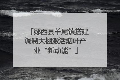 郧西县羊尾镇搭建调制大棚激活烟叶产业“新动能”
