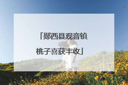 郧西县观音镇桃子喜获丰收