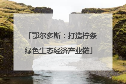 鄂尔多斯：打造柠条绿色生态经济产业链