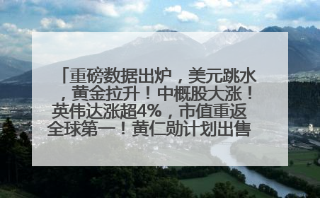 重磅数据出炉，美元跳水，黄金拉升！中概股大涨！英伟达涨超4%，市值重返全球第一！黄仁勋计划出售至多600万股股票