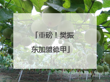 重磅！樊振东加盟德甲