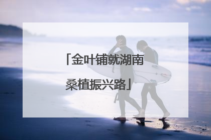 金叶铺就湖南桑植振兴路