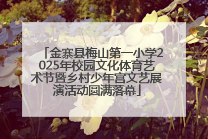 金寨县梅山第一小学2025年校园文化体育艺术节暨乡村少年宫文艺展演活动圆满落幕