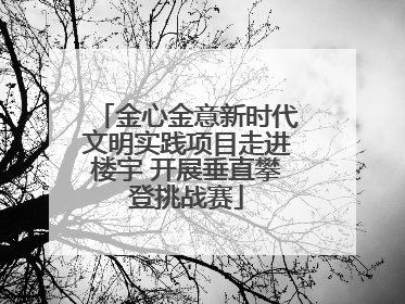 金心金意新时代文明实践项目走进楼宇 开展垂直攀登挑战赛