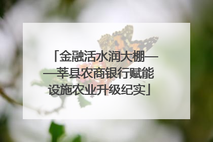 金融活水润大棚——莘县农商银行赋能设施农业升级纪实