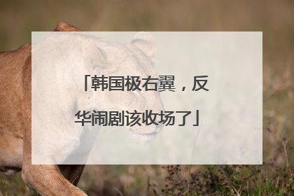 韩国极右翼，反华闹剧该收场了
