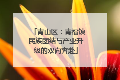 青山区：青福镇民族团结与产业升级的双向奔赴
