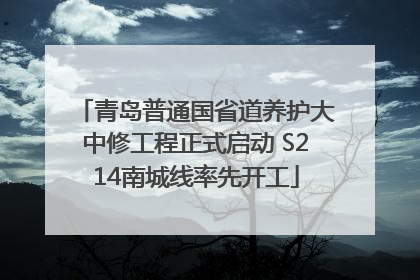 青岛普通国省道养护大中修工程正式启动 S214南城线率先开工