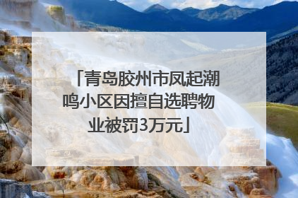 青岛胶州市凤起潮鸣小区因擅自选聘物业被罚3万元