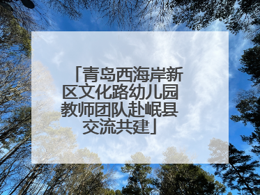 青岛西海岸新区文化路幼儿园教师团队赴岷县交流共建