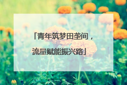 青年筑梦田垄间，流量赋能振兴路