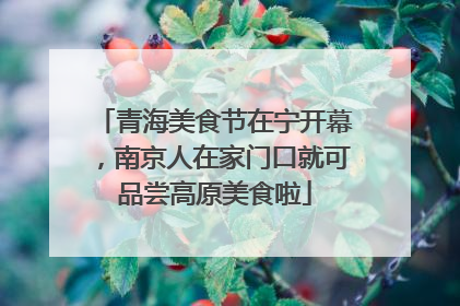 青海美食节在宁开幕，南京人在家门口就可品尝高原美食啦