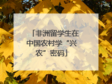 非洲留学生在中国农村学“兴农”密码