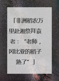 非洲稻农万里赴湘祭拜袁老：“老师，冈比亚的稻子熟了”