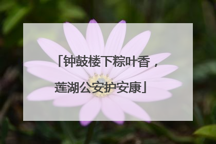 钟鼓楼下粽叶香，莲湖公安护安康