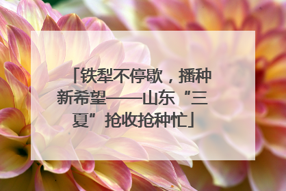 铁犁不停歇，播种新希望——山东“三夏”抢收抢种忙