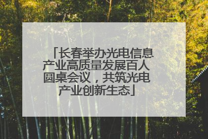长春举办光电信息产业高质量发展百人圆桌会议，共筑光电产业创新生态