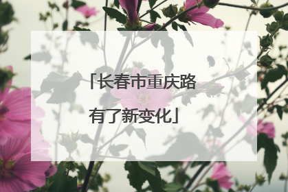 长春市重庆路有了新变化