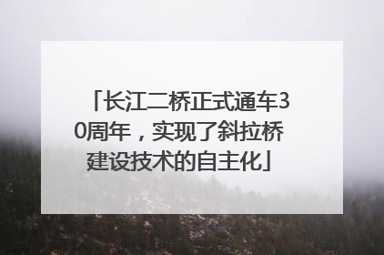 长江二桥正式通车30周年，实现了斜拉桥建设技术的自主化