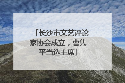 长沙市文艺评论家协会成立，曹隽平当选主席