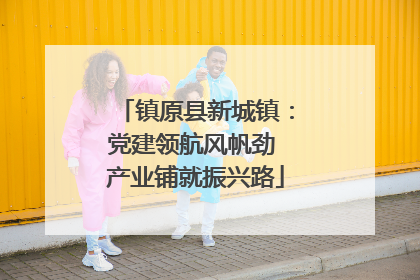 镇原县新城镇：党建领航风帆劲 产业铺就振兴路