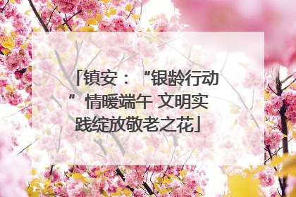 镇安：“银龄行动”情暖端午 文明实践绽放敬老之花