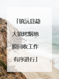 镇沅县勐大镇烤烟地膜回收工作有序进行