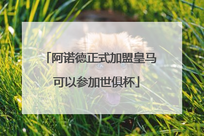 阿诺德正式加盟皇马 可以参加世俱杯