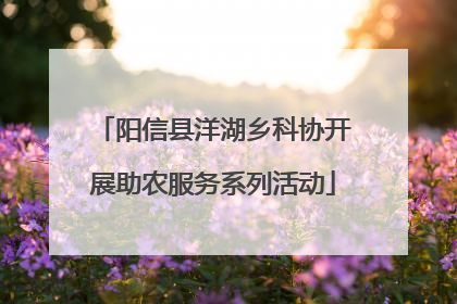 阳信县洋湖乡科协开展助农服务系列活动