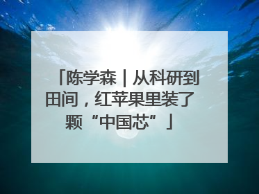 陈学森｜从科研到田间，红苹果里装了颗“中国芯”
