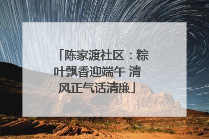 陈家渡社区：粽叶飘香迎端午 清风正气话清廉