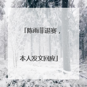 陈雨菲退赛，本人发文回应